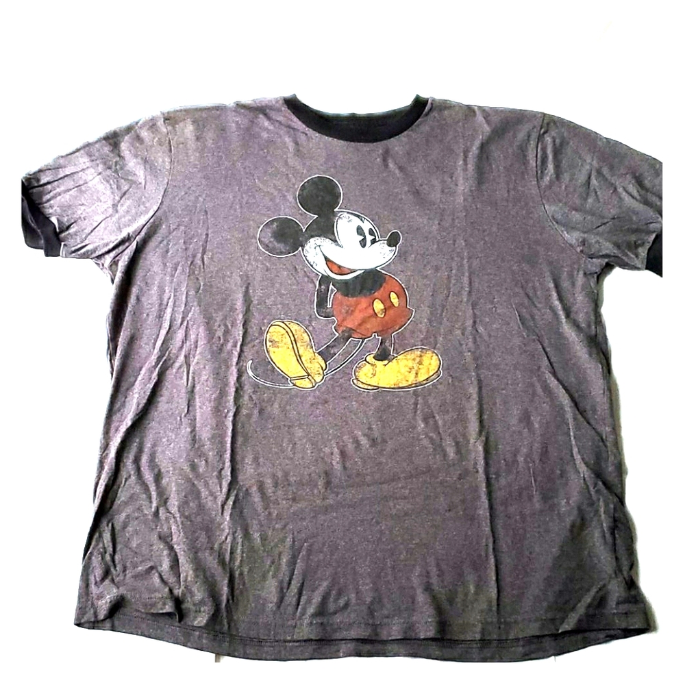 Disney Parks Shirt
